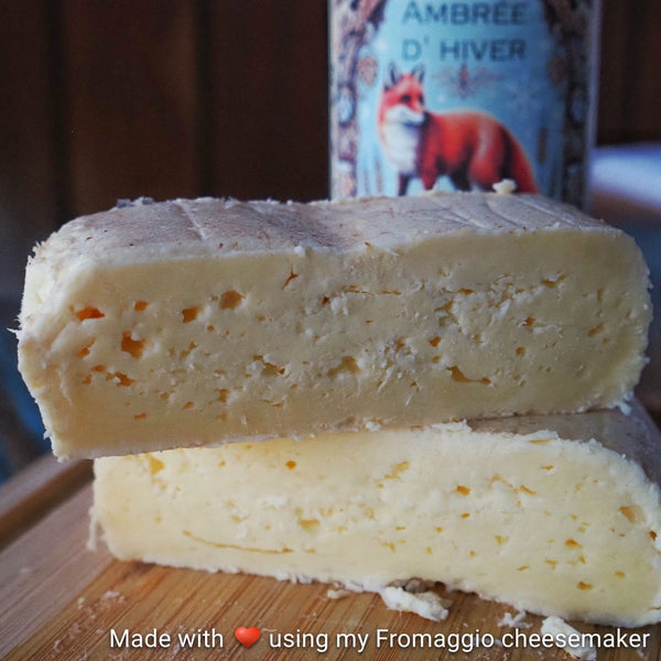 Amber Winter Mountain Tomme